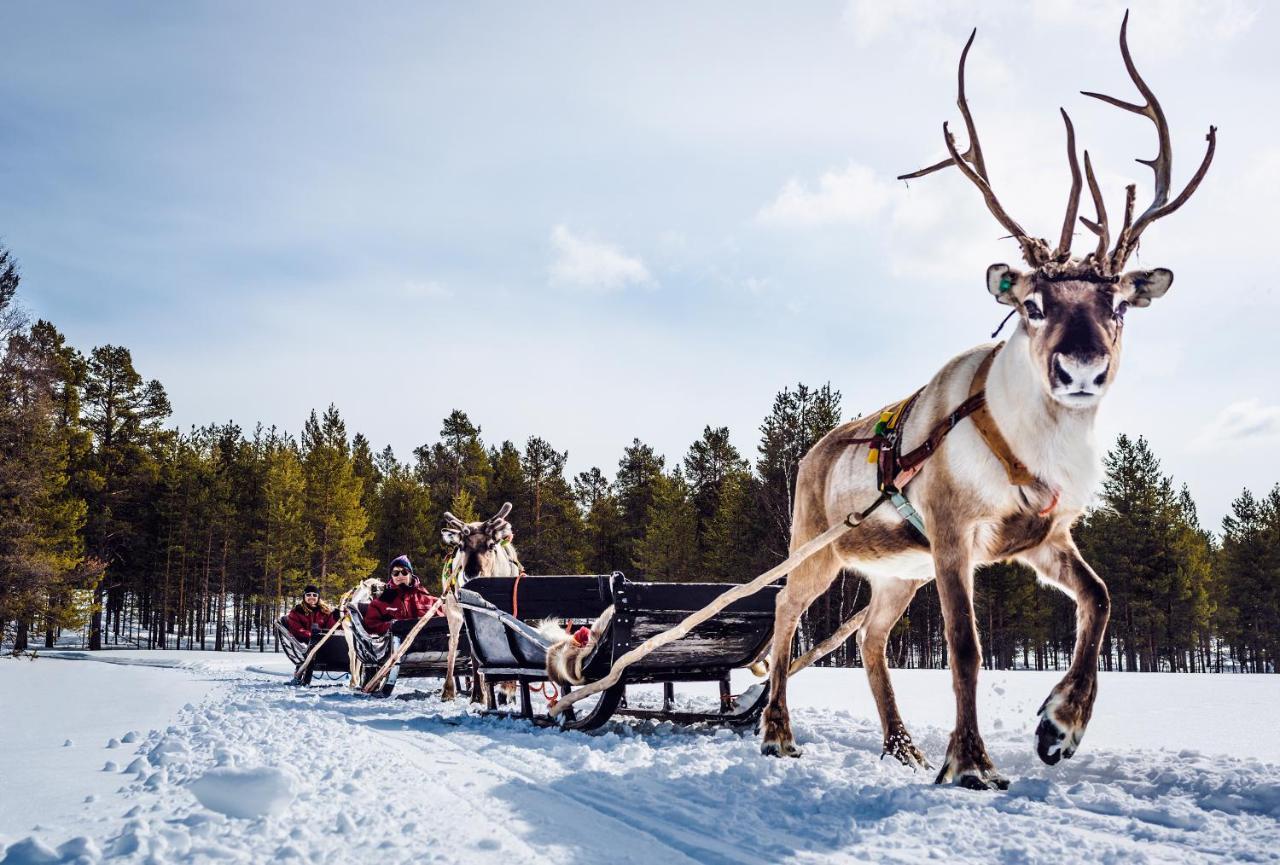 Harriniva Adventure Resort Муонио Екстериор снимка