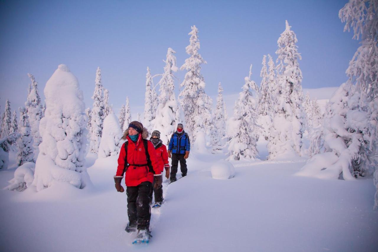 Harriniva Adventure Resort Муонио Екстериор снимка